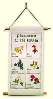 Picture of the Burren Flower Sampler