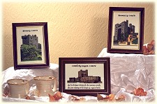 Picture of Castle Designs